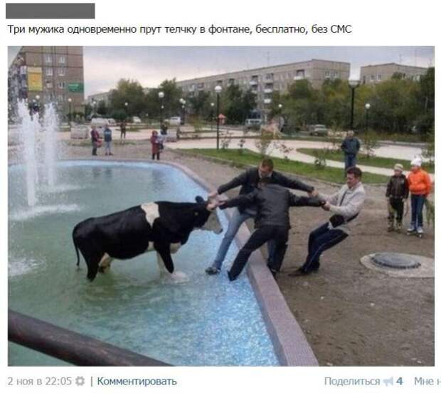 Смешные комментарии из социальных сетей Смешные комментарии из социальных сетей