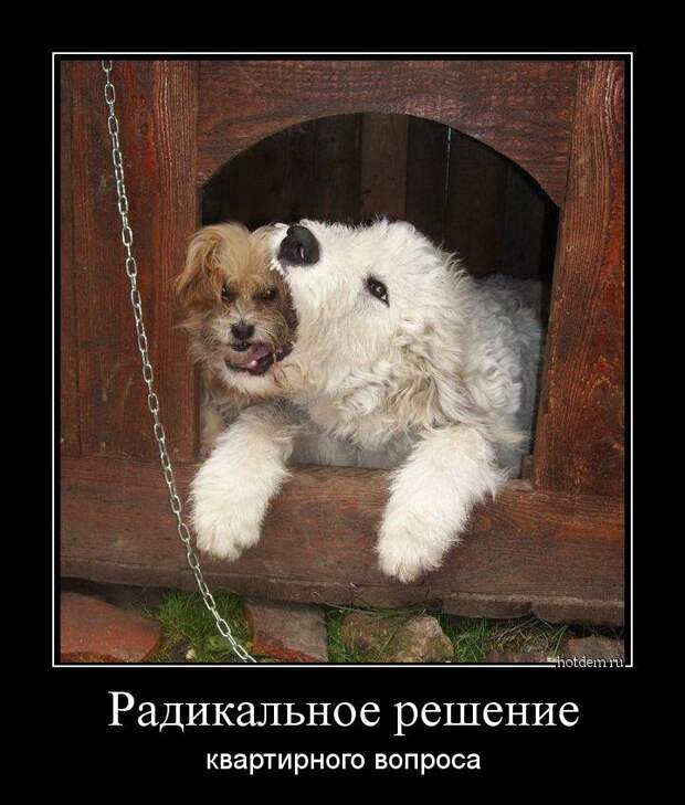 Демотиваторы демотиваторы, прикол, смех, юмор