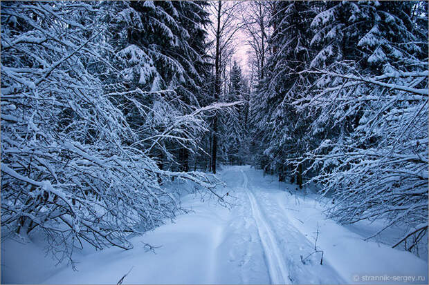 Очаровательные картинки зимы