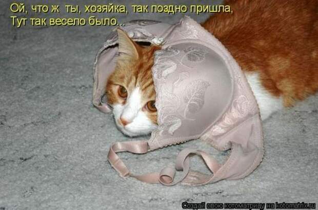 Давайте улыбаться вместе :)