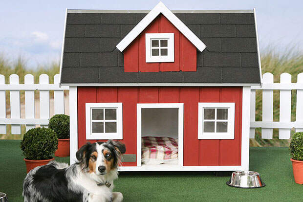LUXURIOUS-DOG-MANSIONS1