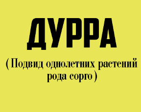 Ты не поверишь! 12 странных слов, которые и правда есть в русском языке