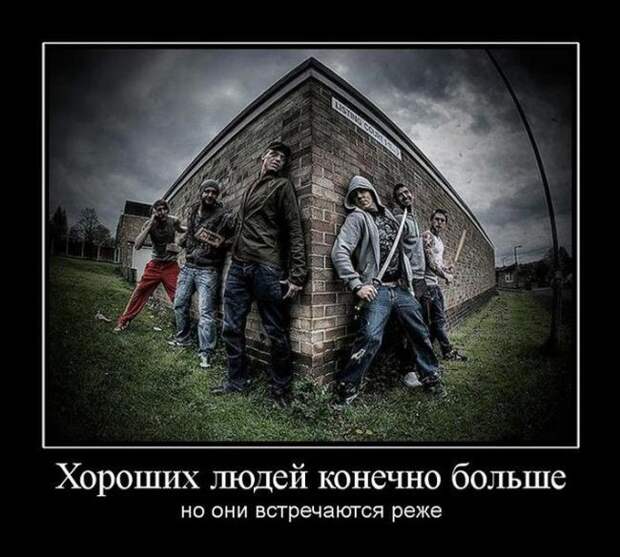 Подборка демотиваторов демотиваторы, юмор