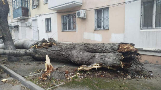 В Феодосии устраняют последствия непогоды