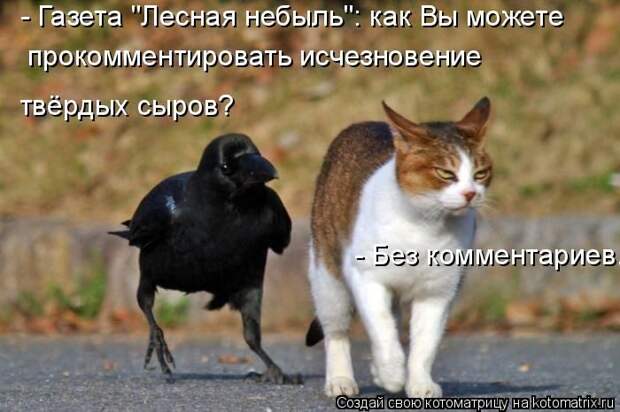 Лучшие котоматрицы недели