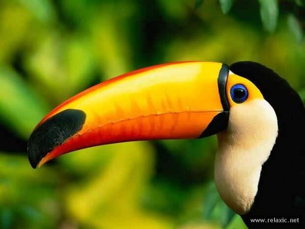 Brazil_047