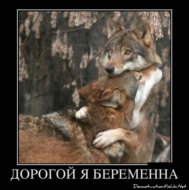 Сборник моих демотиваторов демотиватор, сборник