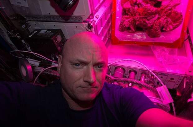 В космосе расцвёл первый цветок (8 фото)