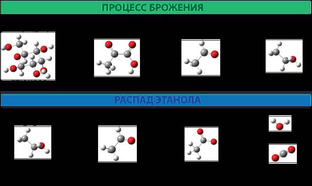 Биотехнологии каменного века. Алкоголь у истоков человеческой истории История, Химия, Алкоголь, Вино, Пиво, Каменный век, Длиннопост