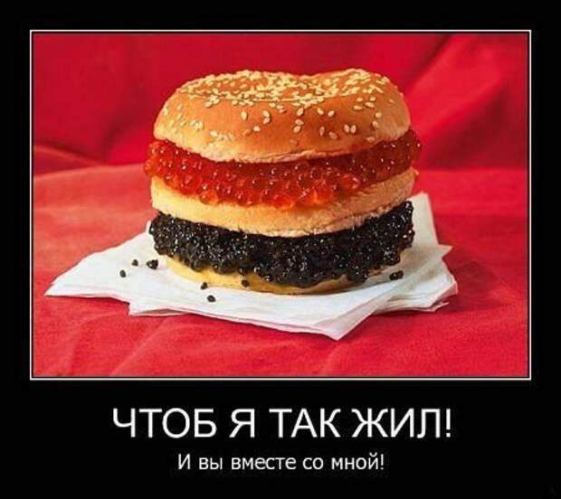 Мои демотиваторы, оцените творчество.