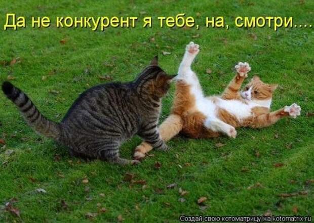 Мысли вслух :)