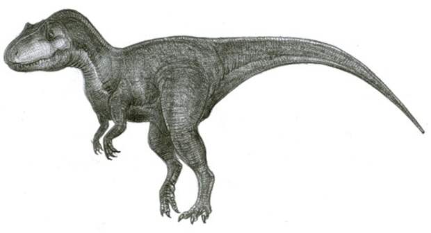 Аллозавр, для сравнения