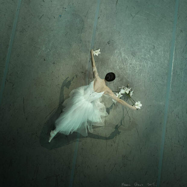 Mark Olich Ballet photography (54) (700x700, 332Kb)