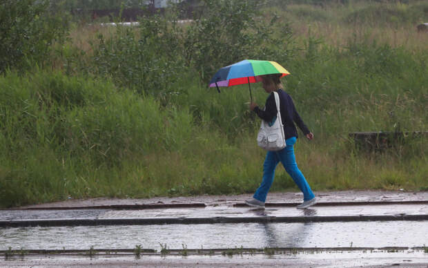 В Петербурге в среду, 3 июля, вновь ожидаются ливни