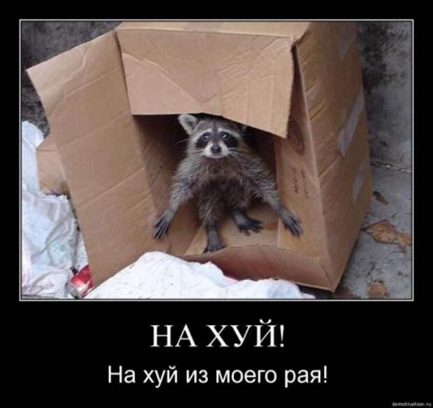 Демки, будет смешно!