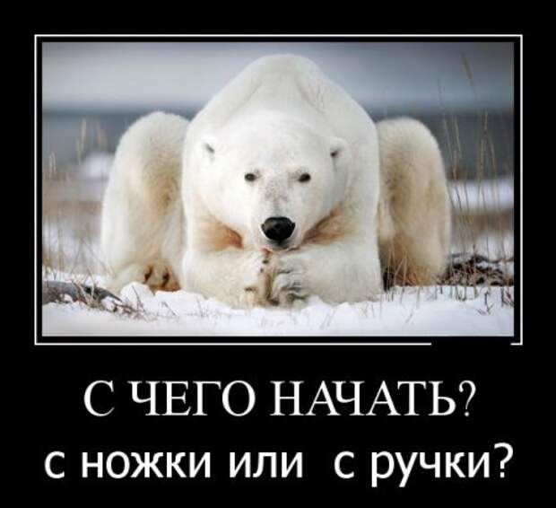Прикольные демотиваторы, самое главное что вовремя.