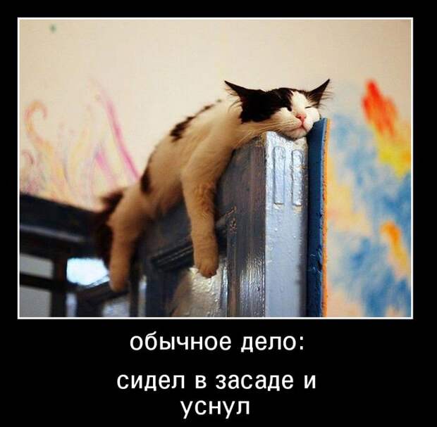 Демотиваторы (30 фото) Демотиваторы (30 фото)