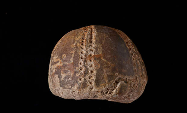 Источник фото: Unsplash