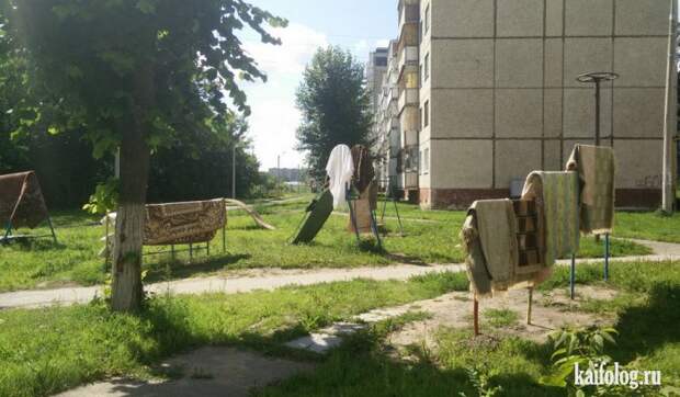 Приколы про ковры (45 фото)