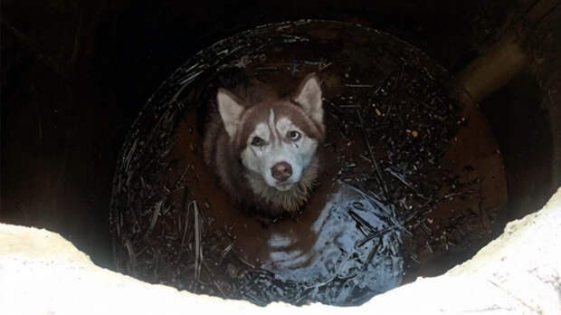 Пока ты нужен