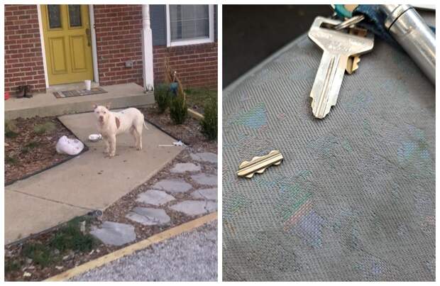 Не повезло — 22 фото от людей, которые не знают, что такое «удача»