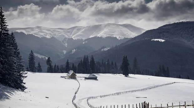 The clearing by dannety on 500px.com