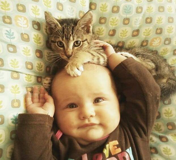 ребенок и кошка 