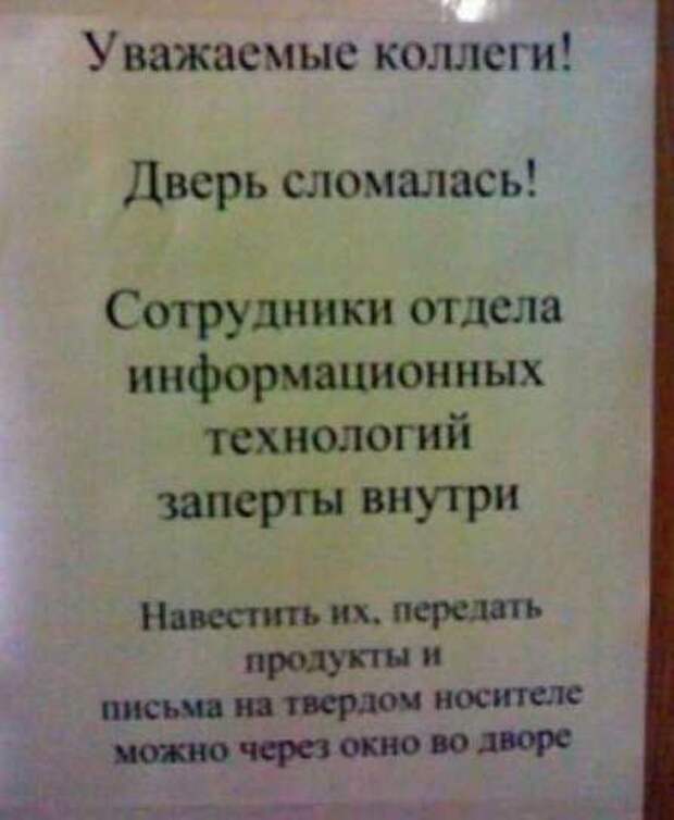 фото прикол