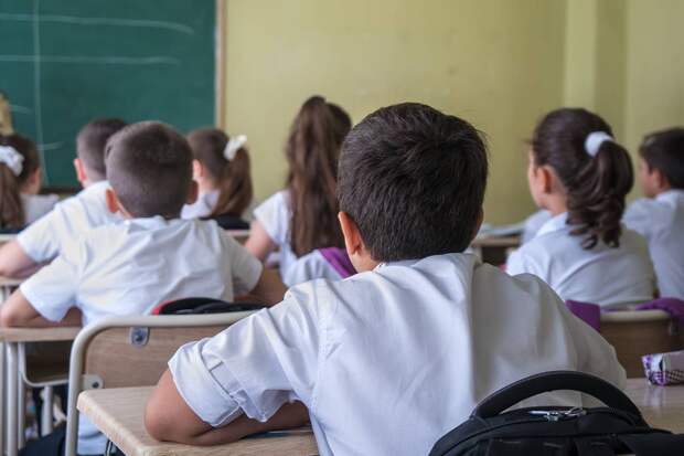 В российских школах решили ввести новый предмет