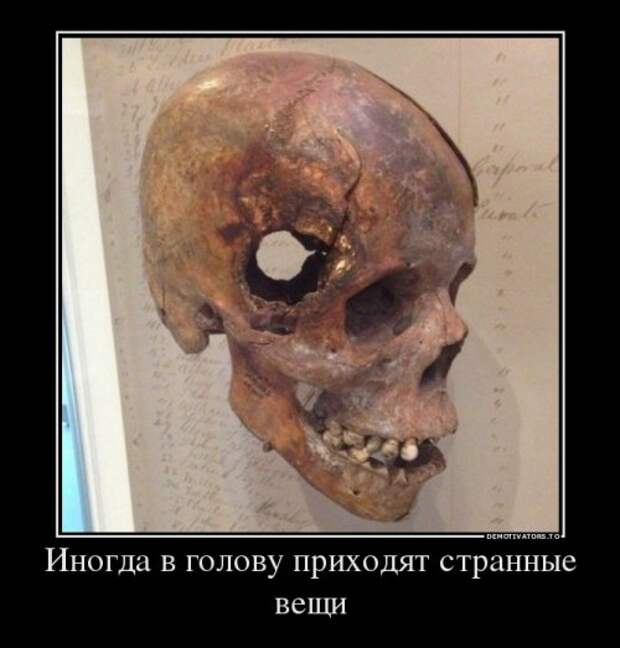 Новые демотиваторы (12 шт)