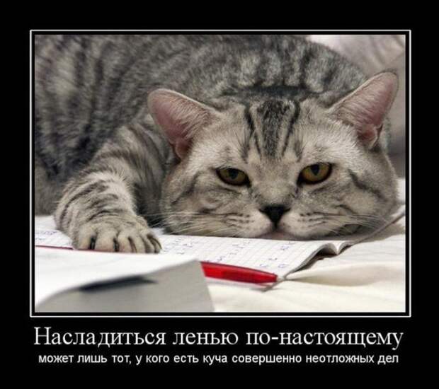 Подборка демотиваторов демотиваторы, юмор