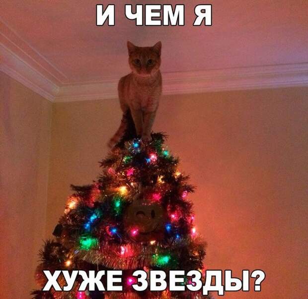 ПОДБОРКА ФОТОПРИКОЛОВ № 366
