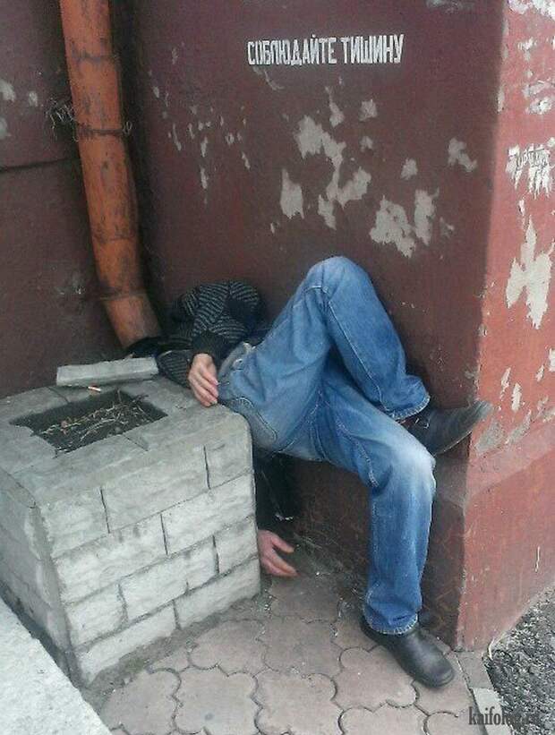 Фото приколы по-русски. Подборка - 279 (80 фото)