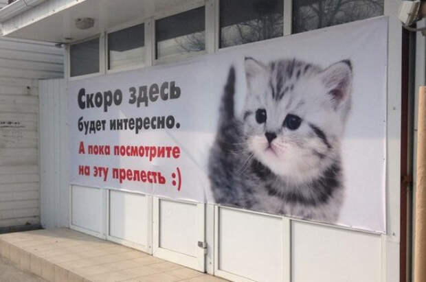 Незабываемые объявления и надписи
