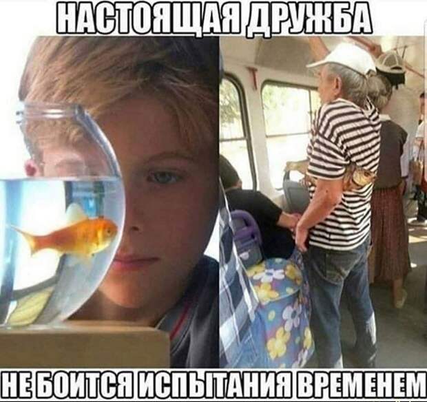 Настоящая дружба