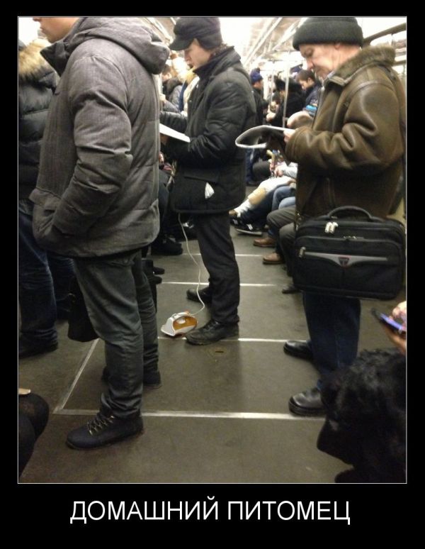 Демотиваторы демотиваторы
