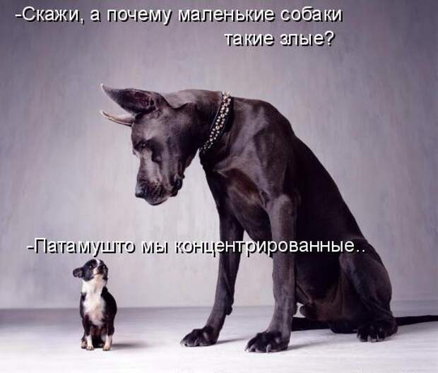 Кото матрица 7