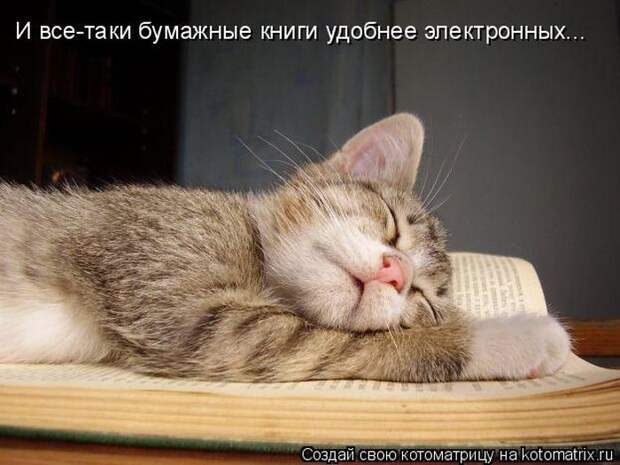 Лучшие котоматрицы недели