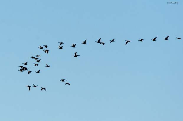 DSC_4563 DSC_4563