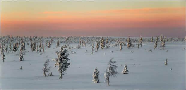 Это было незабываемо лапландия, природа, финляндия