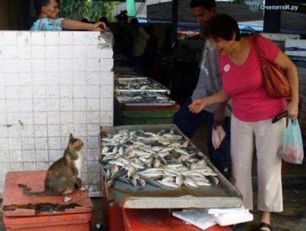 Продавцы бывают разные