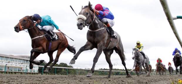 William Hill расширила партнерский контракт с Arena Racing Company