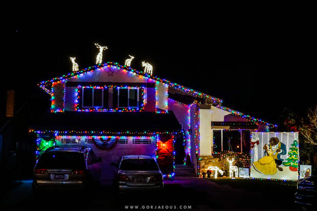 Christmas Card Lane 0-16.jpg