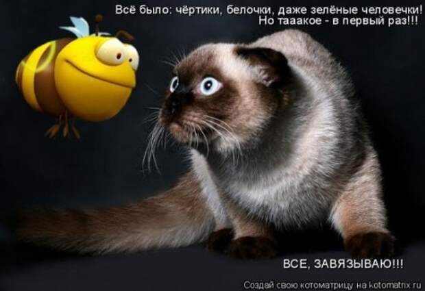 Животные мысли вслух Животные мысли вслух