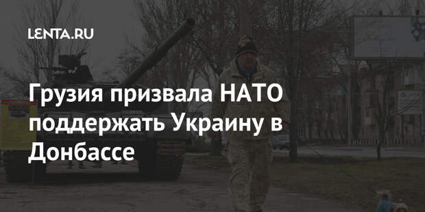 Грузия призвала НАТО поддержать Украину в Донбассе