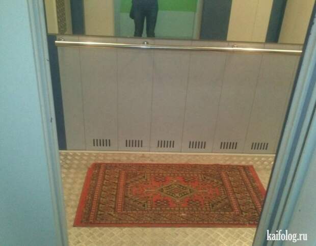 Приколы про ковры (45 фото)