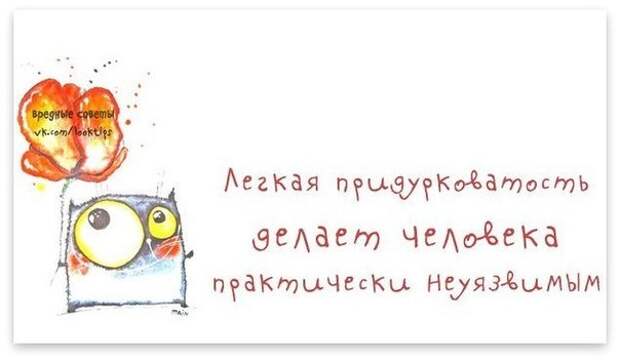 Позитивные фразочки в прикольных картинках