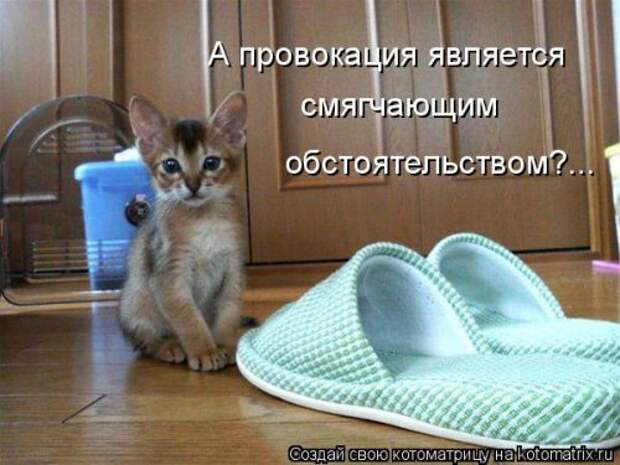 Котоматрица на Бугаге (30 фото)