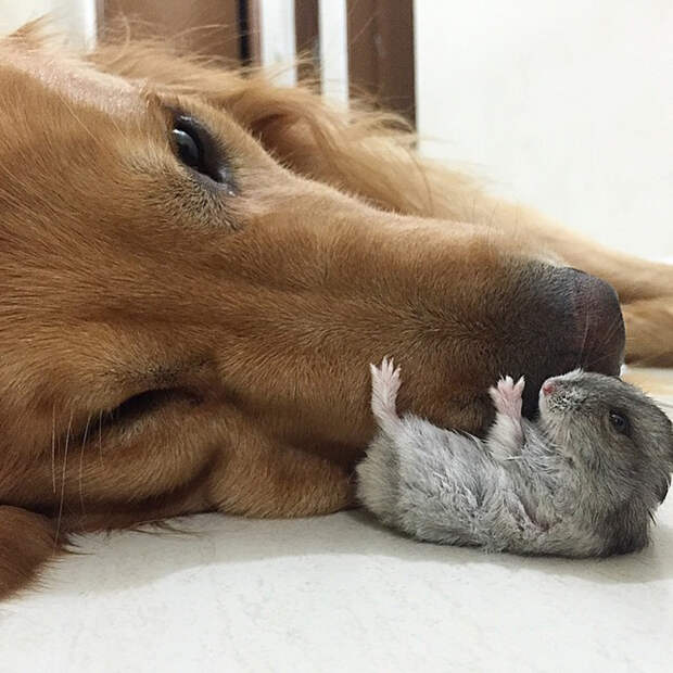 instagram.com