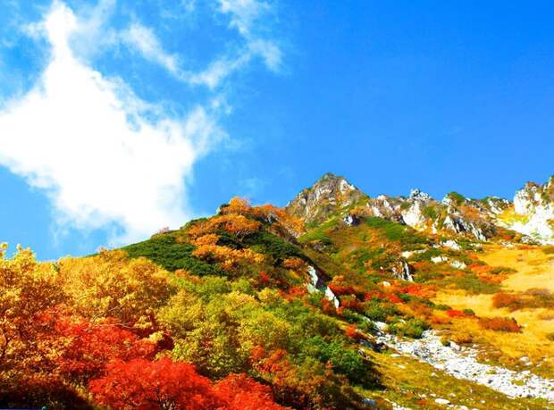 Осень в Японии 2015 2015 осень япония, алая осень японии, дегустация осени в японии, красные клены японии, момидзи, момидзи 2015, момидзи-гари, осень в японии, осень по-японски, осень-японии, тур в японию, японки, японская осень 2015